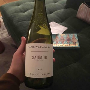 Saumur - Domaine de Saint-Just - arnaud-lambert