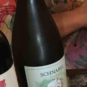 Sausal - Weingut Karl Schnabel - Karl & Eva Schnabel 