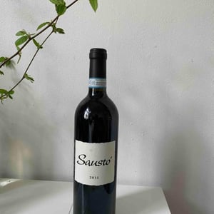 Saustó - Monte dall'Ora - Alessandra Zantedeschi & Carlo Venturini 