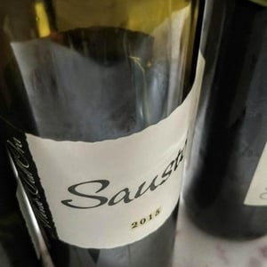 Saustó - Monte dall'Ora - alessandra-zantedeschi-carlo-venturini