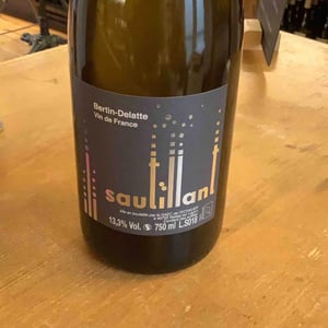Sautillant - Bertin Delatte - nicolas-bertin-genevieve-delatte