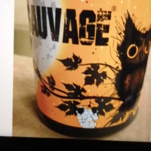 Sauvage - Constantina Sotelo Micro Bodega - Constantino Sotelo -2021