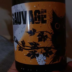 Sauvage - Constantina Sotelo Micro Bodega - constantino-sotelo -2021