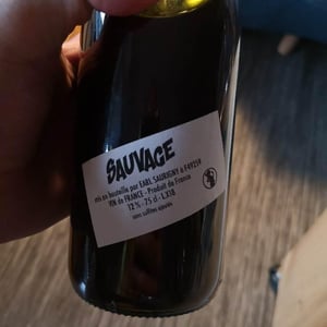 Sauvage - Domaine Saurigny - jerome-saurigny
