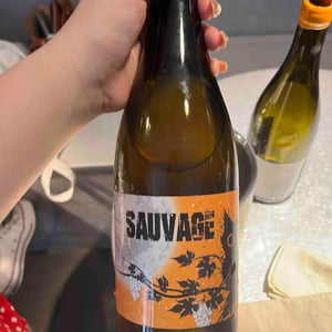 Sauvage - Constantina Sotelo Micro Bodega - Constantino Sotelo -2021