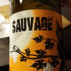 Sauvage 2017