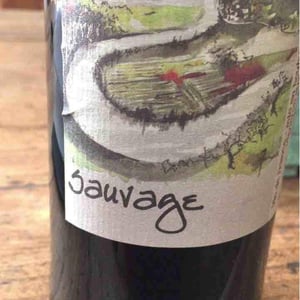 Simon Busser - Simon Busser - Sauvage