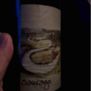 Sauvage - Simon Busser - Simon Busser 