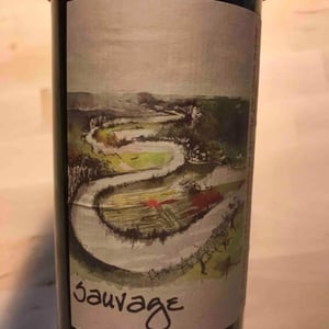 Simon Busser - Simon Busser - Sauvage