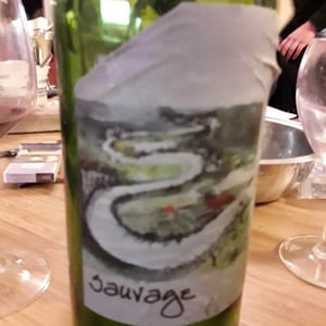 Simon Busser - Simon Busser - Sauvage