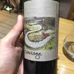 Sauvage - Simon Busser - simon-busser