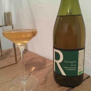 Sauvagine - Hautes Terres de Comberousse - paul-reder