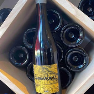 Sauvèdes - la Réaltière - pierre-sylvia-michelland
