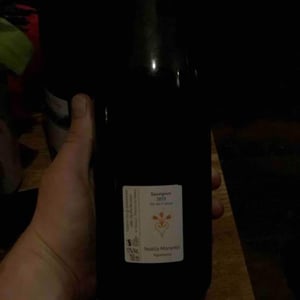 Sauvignon - Noëlla Morantin - Noëlla Morantin 
