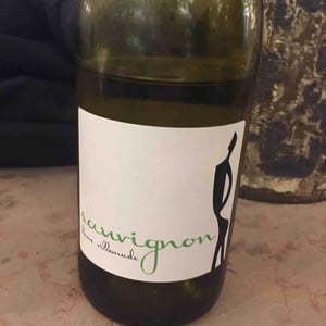Hervé Villemade - Hervé Villemade - Sauvignon