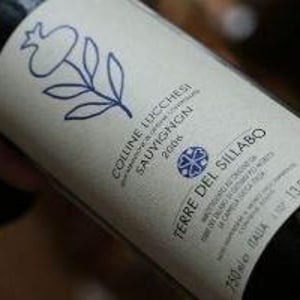 Sauvignon - Terre Del Sillabo - giampi-moretti