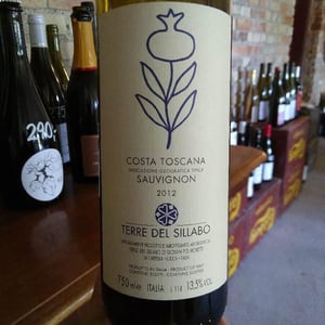Sauvignon - Terre Del Sillabo - Giampi Moretti 