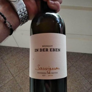 Sauvignon - Weingut In Der Eben - Urban Plattner 