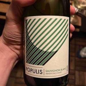 POPULIS SAUVIGNON BLANC - Les Lunes Wine / Populis Wine - shaunt-oungolian-diego-roig
