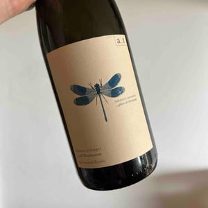 Weingut Andreas & Elisabeth Tscheppe - Andreas & Elisabeth Tscheppe - Blaue Libelle - Sauvignon Blanc