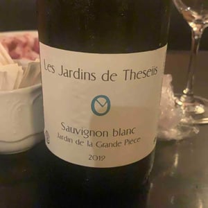 Sauvignon Blanc - Les Jardins de Theseiis - Paul-André Risse & Anouk Lavoie-Lamoureux 