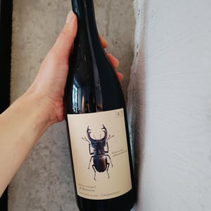 Hirschkäfer - Sauvignon Blanc/Chardonnay - Weingut Andreas & Elisabeth Tscheppe - andreas-elisabeth-tscheppe