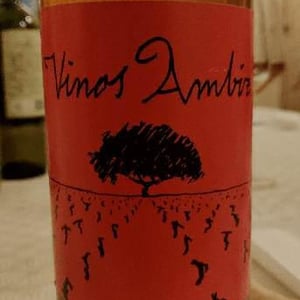 Sauvignon Blanc - Vinos Ambiz - Fabio Bartolomei 