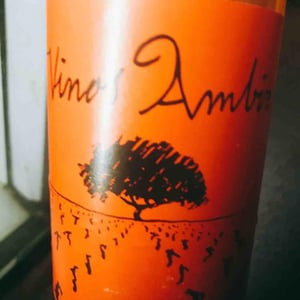 Sauvignon Blanc - Vinos Ambiz - fabio-bartolomei