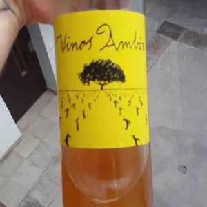 Sauvignon Blanc - Vinos Ambiz - Fabio Bartolomei 