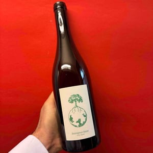 Sauvignon blanc - Weingut Werlitsch - Ewald & Brigitte Tscheppe 