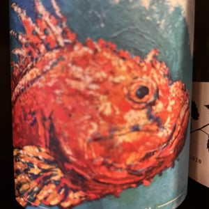 Sauvignon Blanc - Clos de Somméré - regis-sylvain