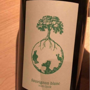 Sauvignon Blanc vom Opok - Weingut Werlitsch - ewald-brigitte-tscheppe