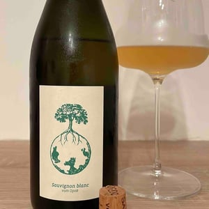 Sauvignon Blanc vom Opok - Weingut Werlitsch - Ewald & Brigitte Tscheppe 