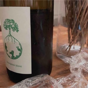 Weingut Werlitsch - Ewald & Brigitte Tscheppe - Sauvignon blanc