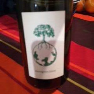 Sauvignon blanc 2015