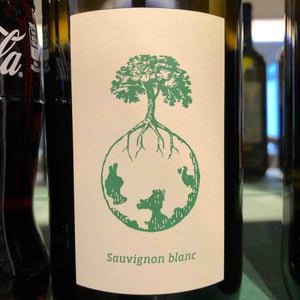 Sauvignon blanc - Weingut Werlitsch - ewald-brigitte-tscheppe
