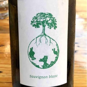 Sauvignon blanc - Weingut Werlitsch - Ewald & Brigitte Tscheppe 