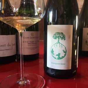Sauvignon blanc - Weingut Werlitsch - Ewald & Brigitte Tscheppe 
