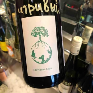 Sauvignon blanc - Weingut Werlitsch - ewald-brigitte-tscheppe