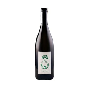 Sauvignon blanc - Weingut Werlitsch - ewald-brigitte-tscheppe