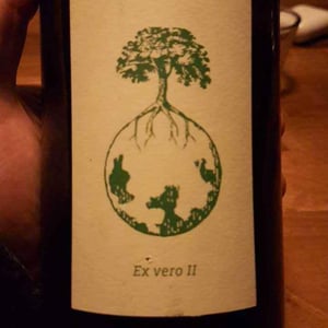 Sauvignon blanc - Weingut Werlitsch - ewald-brigitte-tscheppe