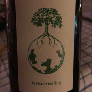 Sauvignon blanc - Weingut Werlitsch - Ewald & Brigitte Tscheppe 