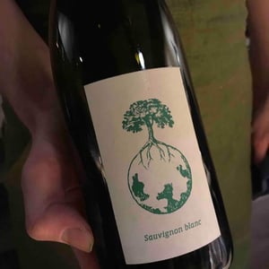 Sauvignon blanc - Weingut Werlitsch - ewald-brigitte-tscheppe