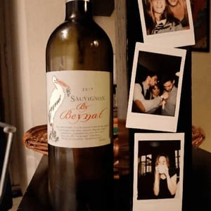 Sauvignon By Beynat - Chateau Beynat - nathalie-boyer-alain-tourenne