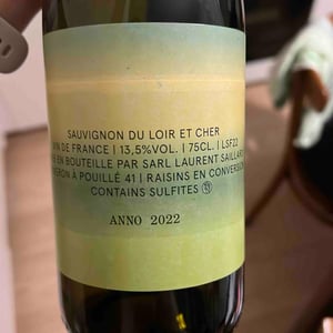 Loir&Cher&Sauvignon - Laurent Saillard - laurent-saillard -2023