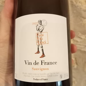 Sauvignon - VDF - Vini Viti Vinci - nicolas-vauthier-kikro
