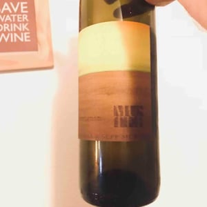 Sauvignon vom Opok - Weingut Muster - maria-sepp-muster