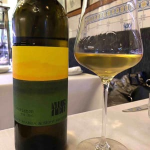 Sauvignon vom Opok - Weingut Muster - Maria & Sepp Muster 