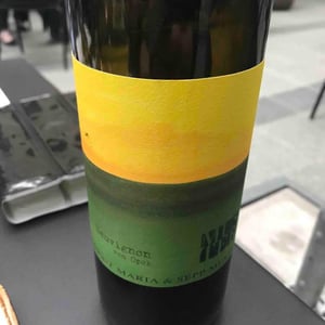 Weingut Muster - Maria & Sepp Muster - Sauvignon vom Opok
