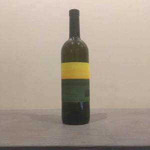 Sauvignon vom Opok - Weingut Muster - Maria & Sepp Muster 